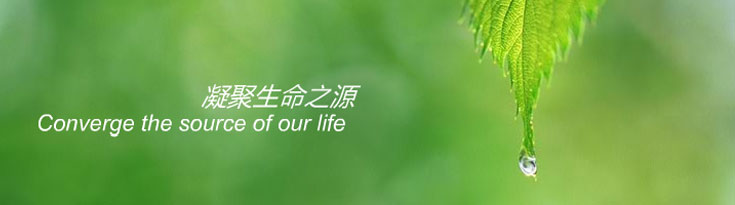 �߉���ϴ�O(sh��)��